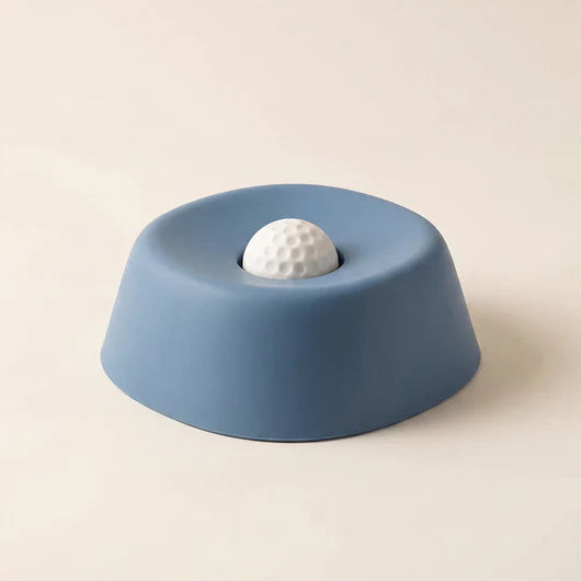 LickWellPets Slow Feeder Bowl