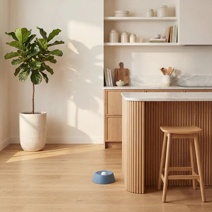 LickWellPets Slow Feeder Bowl