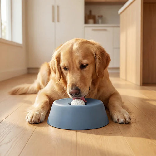 LickWellPets Slow Feeder Bowl